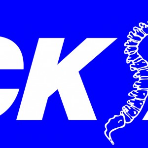 06 NeckSafe Logo reversed