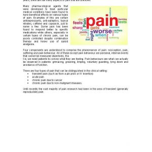 IAE Analgesia CPD and Assessment Page 04